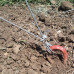 Anchor for the vineyard trellis
