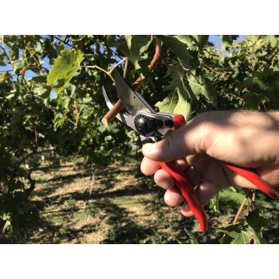 Pruner  Felco 11