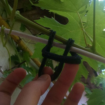 Трикотажні кільця для підв'язки винограду